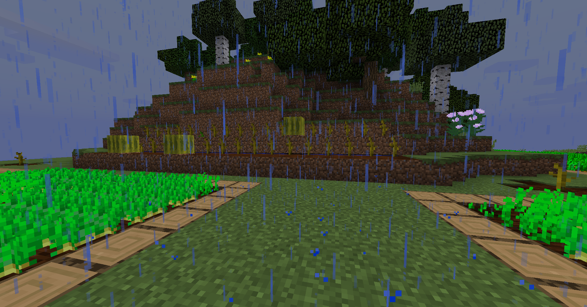 Melons won't grow for me. Lots of posts here but no solution for me