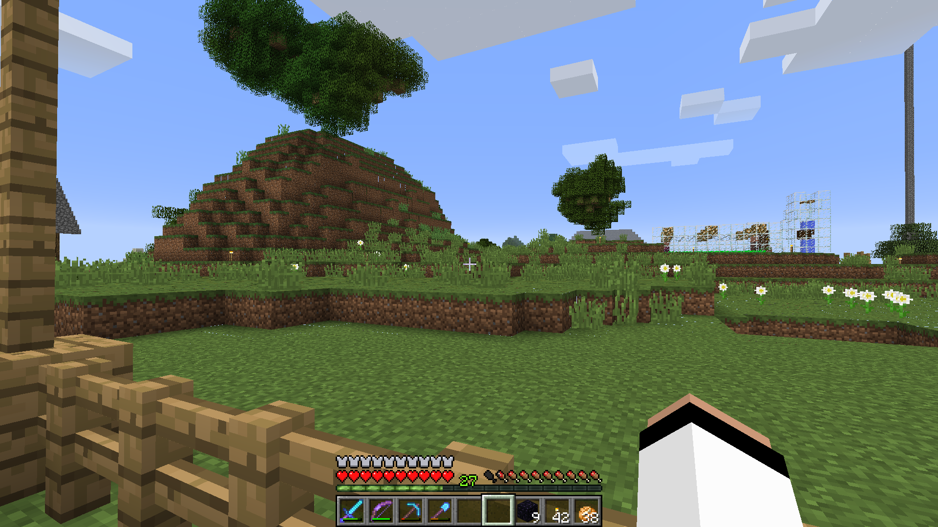 block-borders-visible-invisible-unmodified-minecraft-client-support