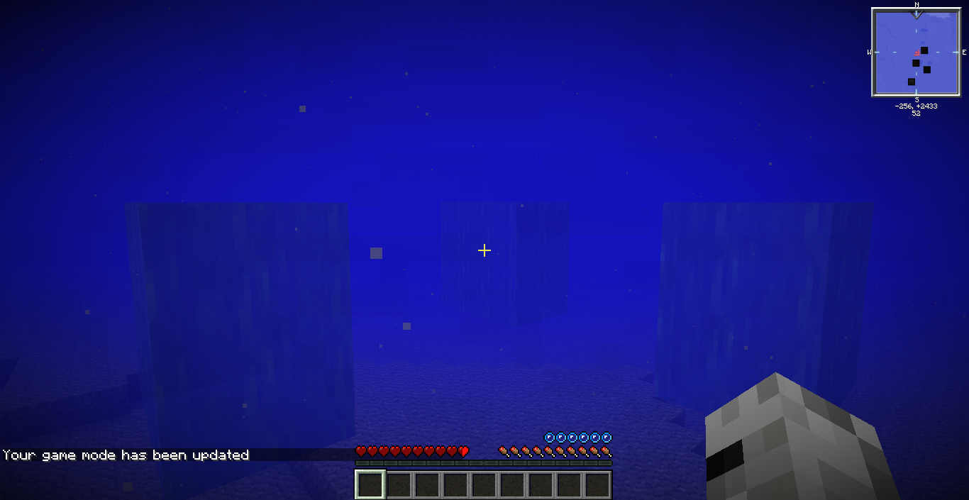 Weird Water Bubbles? Survival Mode Minecraft Java Edition