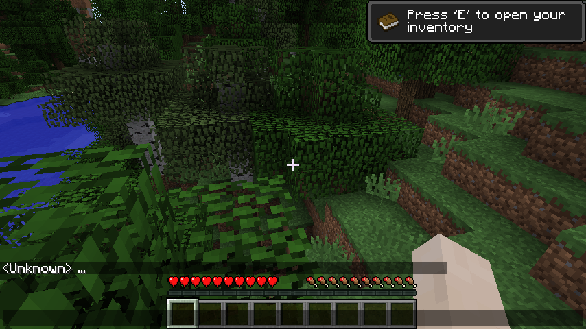 Unknown player name SOLVED - Unmodified Minecraft Client Support ...