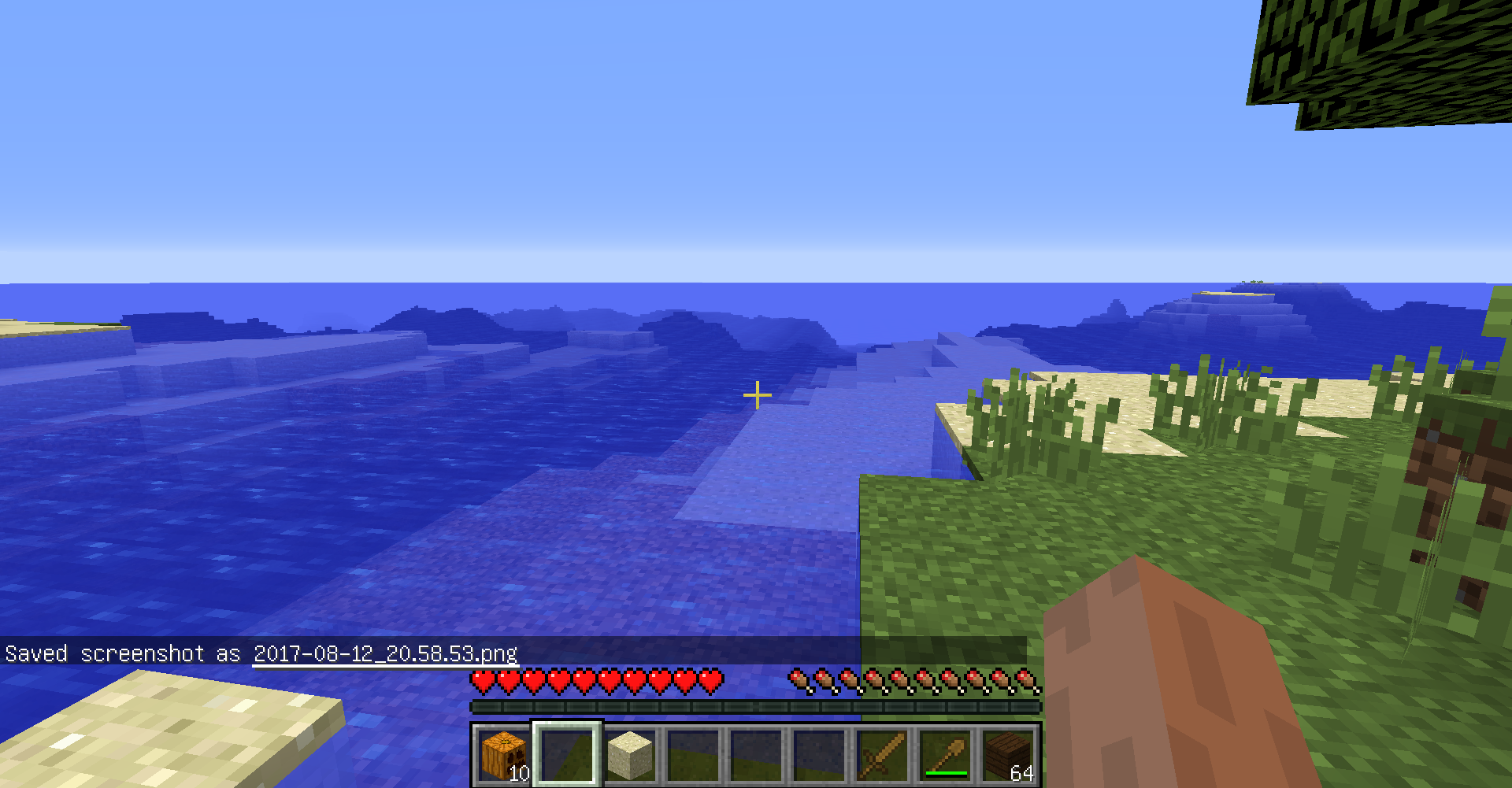 How do I fix purple water? - Java Edition Support - Support - Minecraft ...