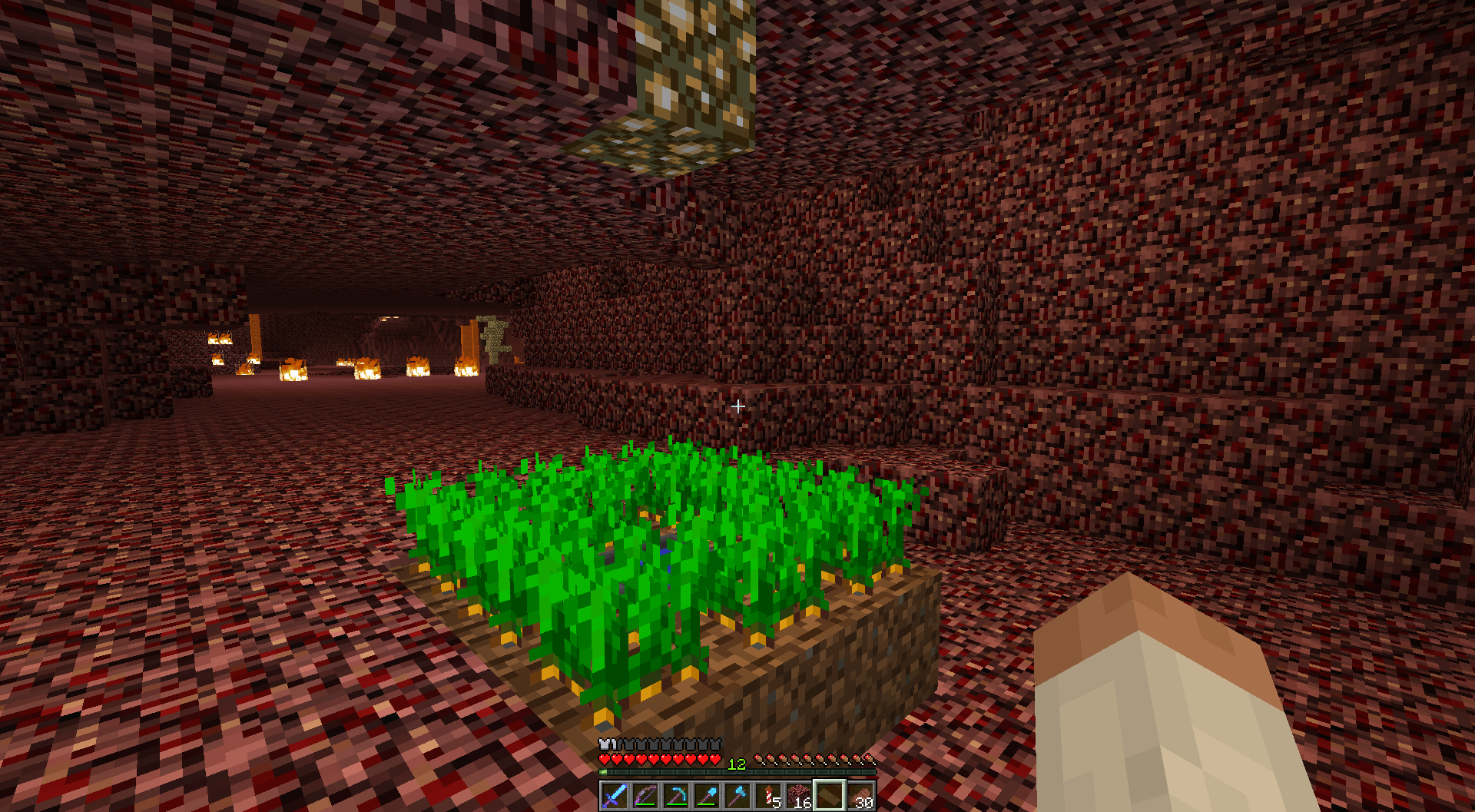 How To Grow Crops In The Nether