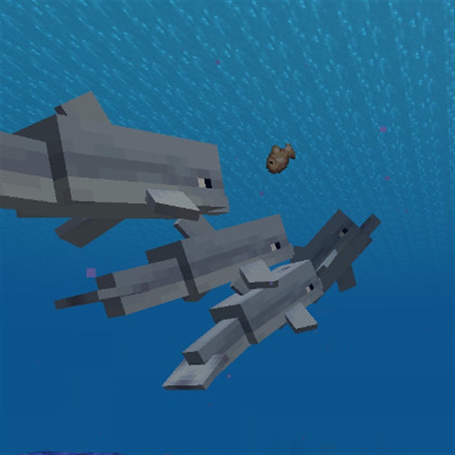 Minecraft Forum