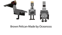 Brown Pelican Dossier