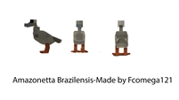 Amazonetta Brazilensis dossier